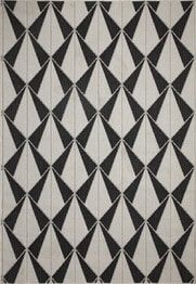 Dynamic Rugs VILLA 1641-910 Black and Ivory